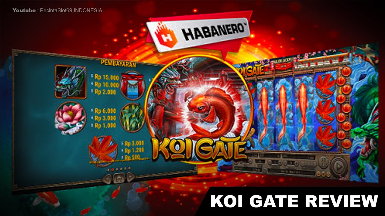 Habanero slot game